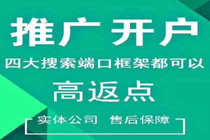 百度推广在电商行业的成功案例